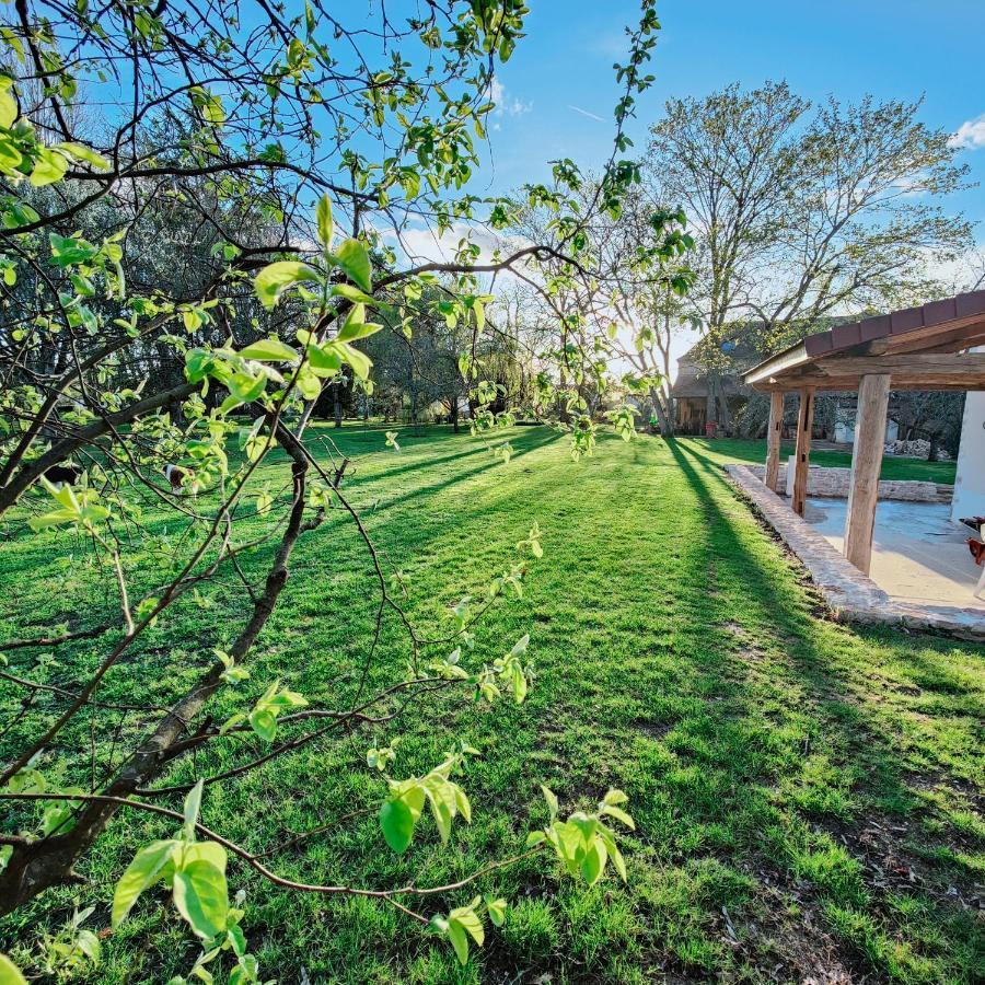 Casa de Férias Domaine Loup - 10min Beaune